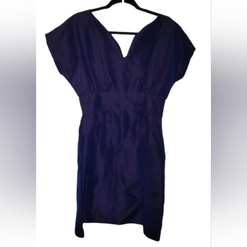 Calypso St. Barth Elegant 100% Silk Purple Dress With Pockets Small